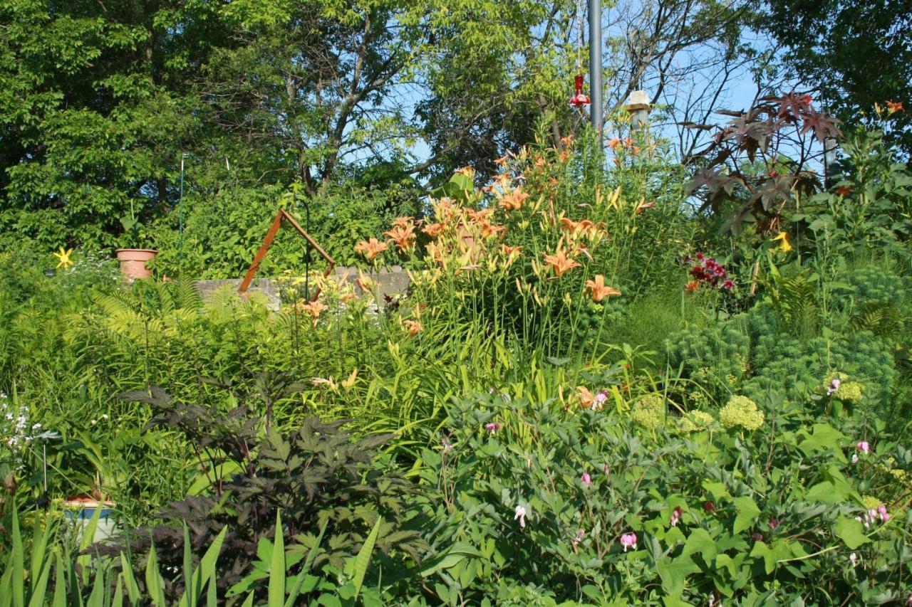 Gite Fleury Baie-Saint-Paul Extérieur photo