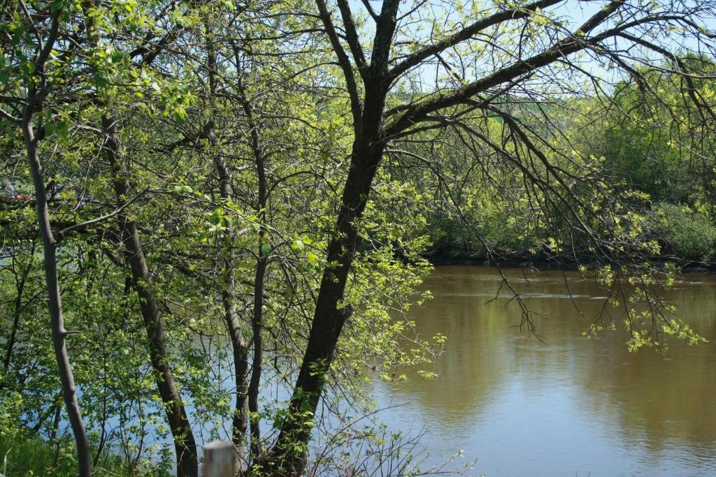 Gite Fleury Baie-Saint-Paul Extérieur photo